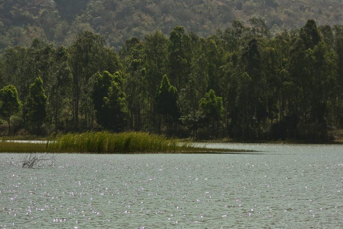 morning places in Bengaluru