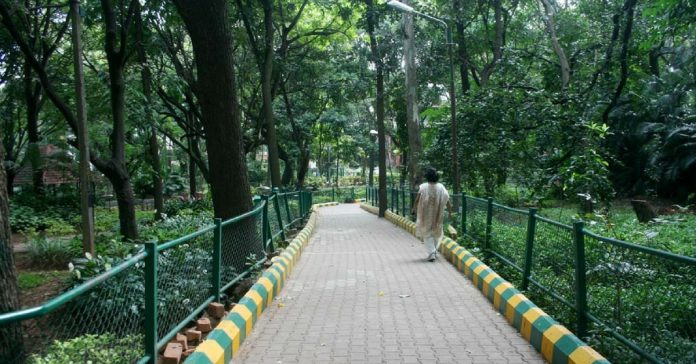 Bugle Rock Garden