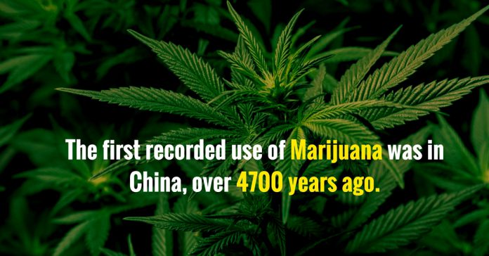 interesting facts about china