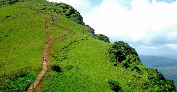 chikmagalur coffee