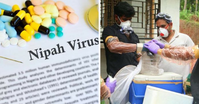 nipah virus