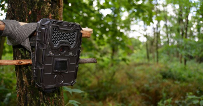 trail camera camping