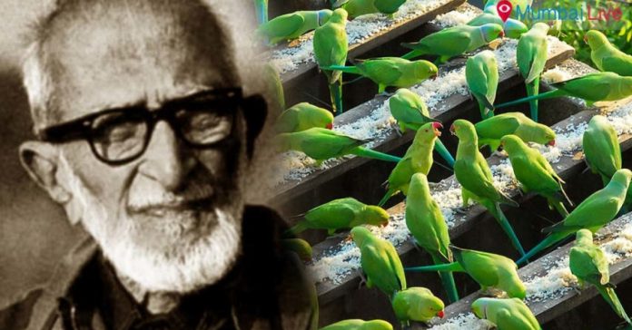 salim ali