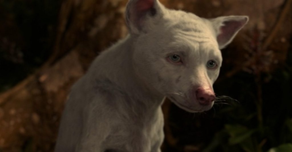 mowgli disney to netflix