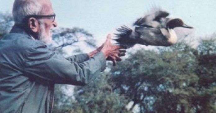 salim ali