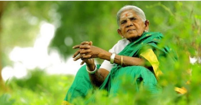 Saalu Marada Thimmakka