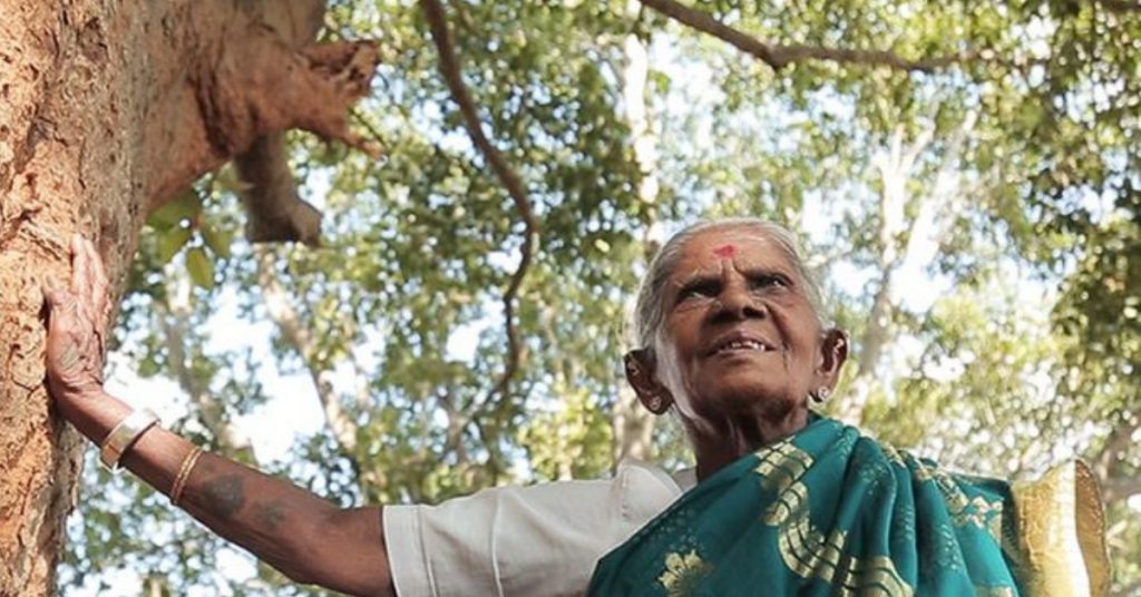 Saalu Marada Thimmakka