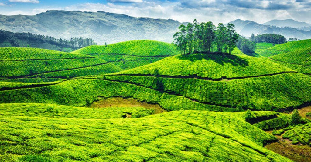 munnar